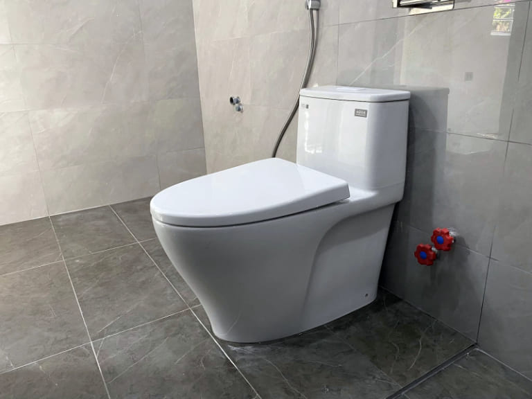 Bồn Cầu 1 Khối Là Gì? Ưu Nhược Điểm & Nên Chọn Loại Nào