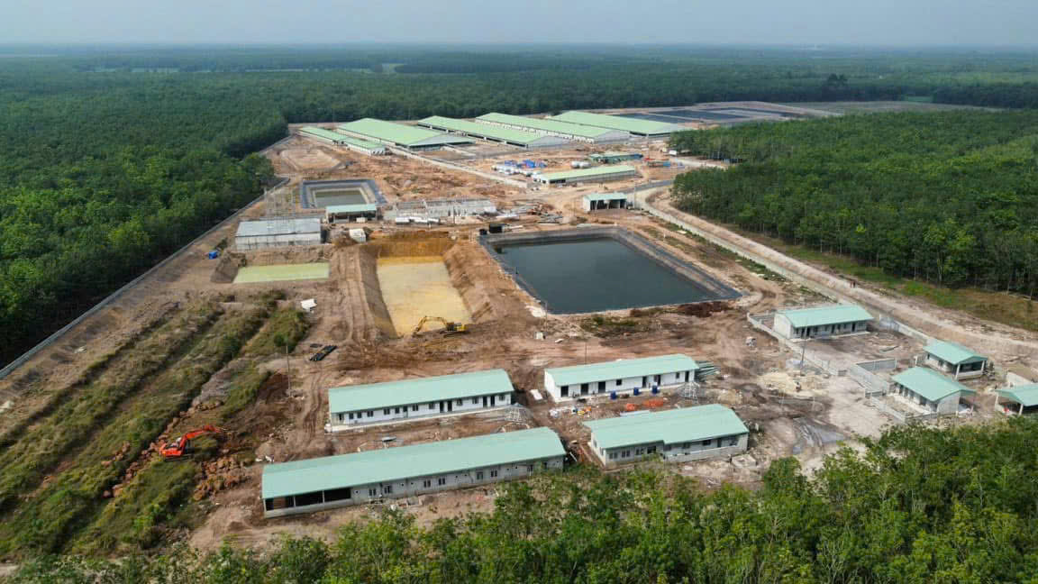 Kim Dung đồng hành cùng dự án Trang trại heo giống Tây Ninh 5: Tiêu chuẩn vật liệu cho nông nghiệp công nghệ cao