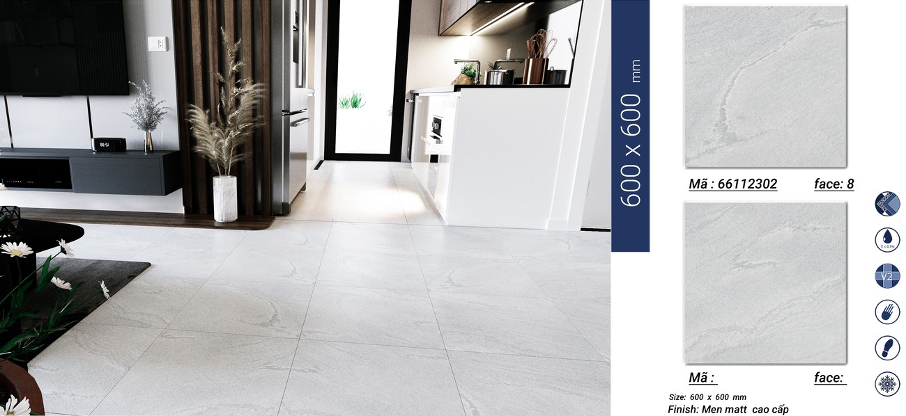Gạch ốp lát 60x60 Apodio 66112302 3
