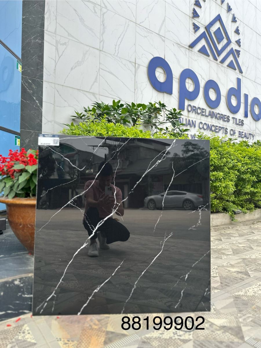 Gạch ốp lát 80x80 Apodio 88199902