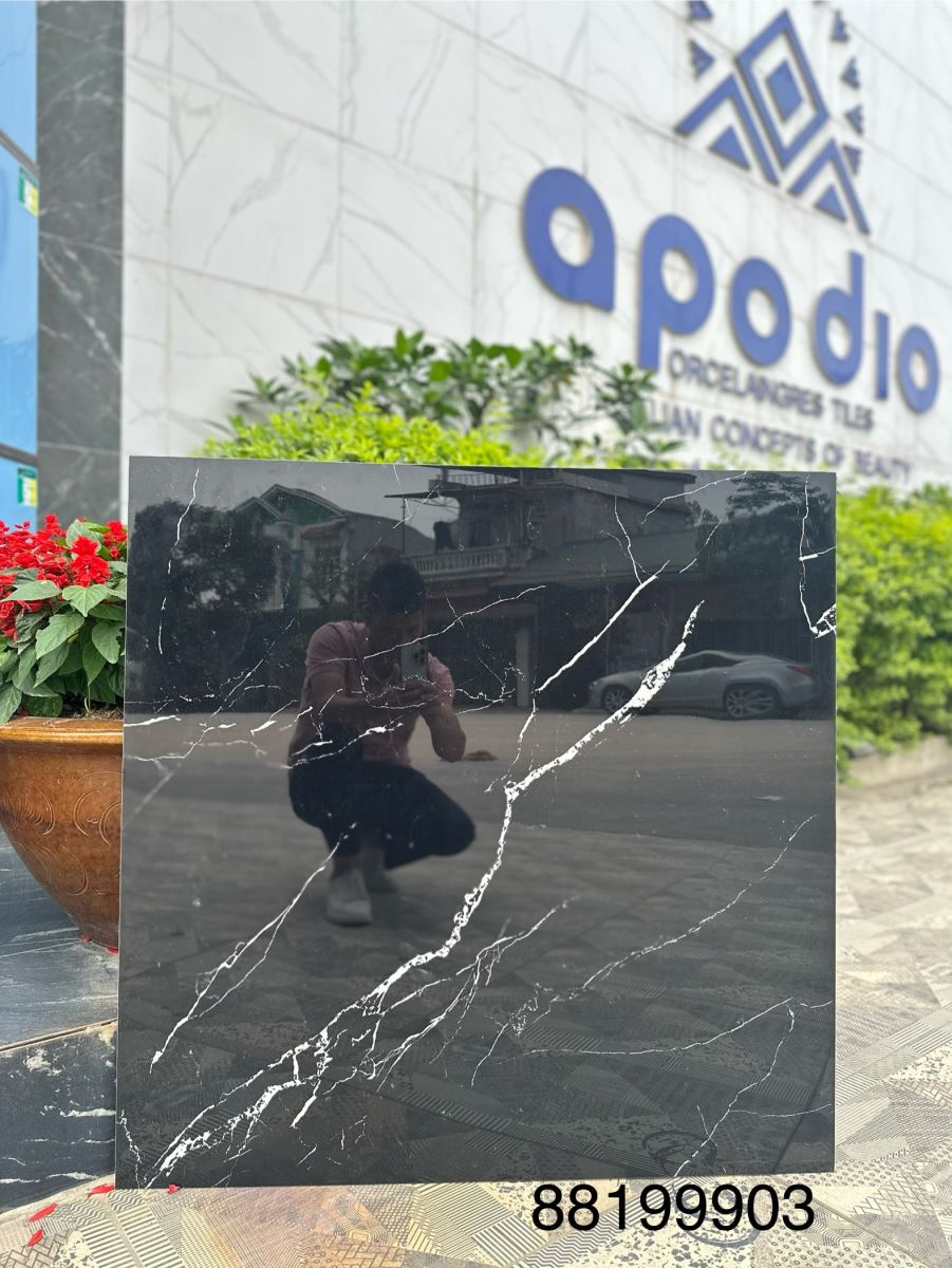 Gạch ốp lát 80x80 Apodio 88199903 4