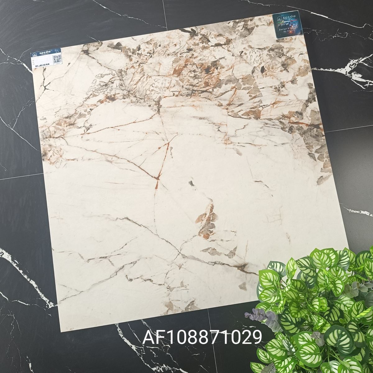 Gạch ốp lát 80x80 Apodio AF108871029 tt