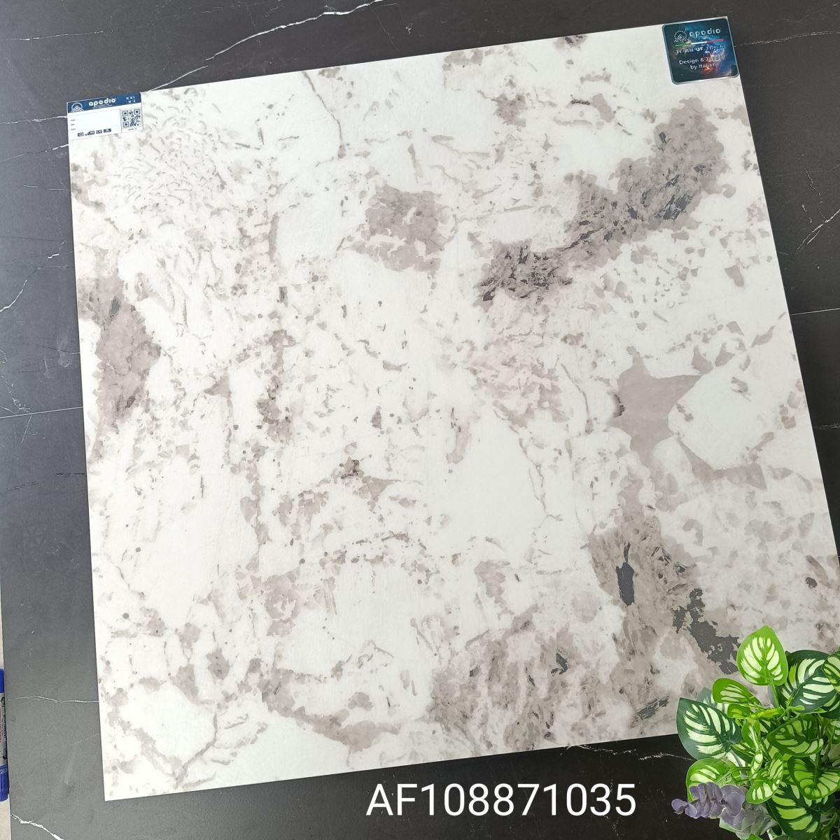 Gạch ốp lát 80x80 Apodio AF108871035 tt