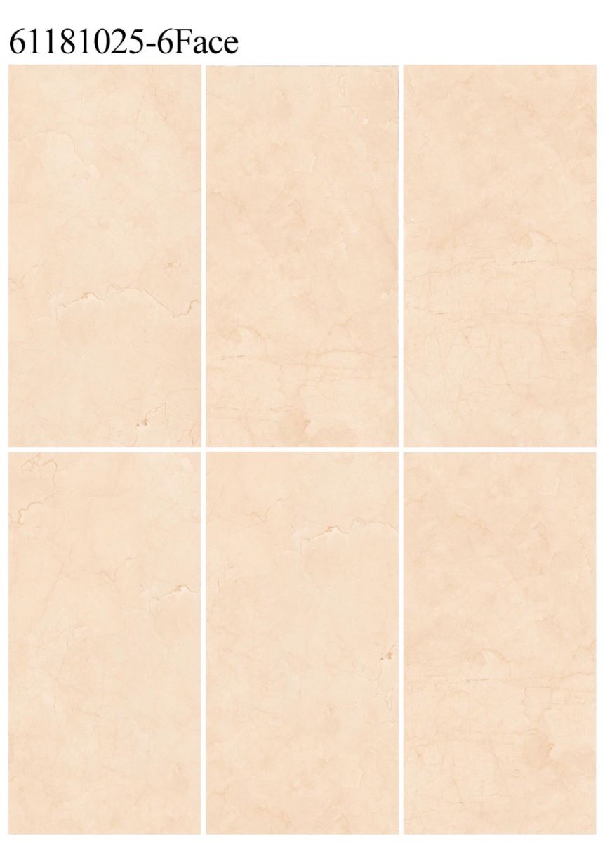 Gạch ốp lát 60x120 Apodio 61181025