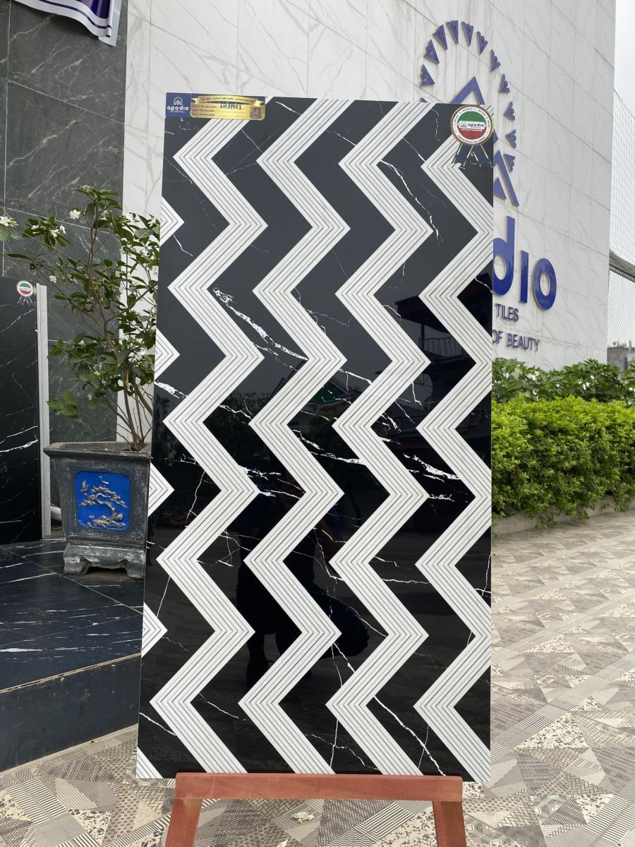 Gạch ốp lát 60x120 Apodio 61199903 2