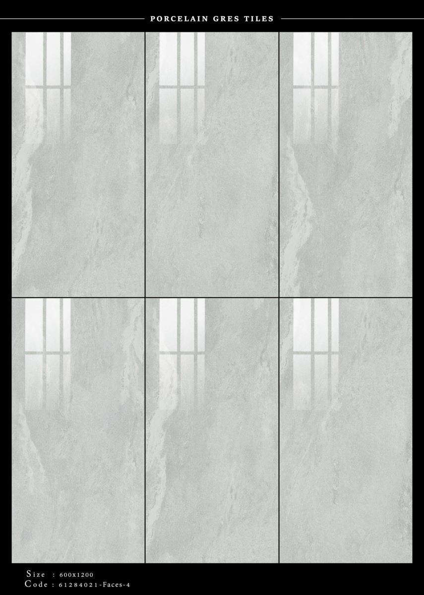 Gạch ốp lát 60x120 Apodio 61284021