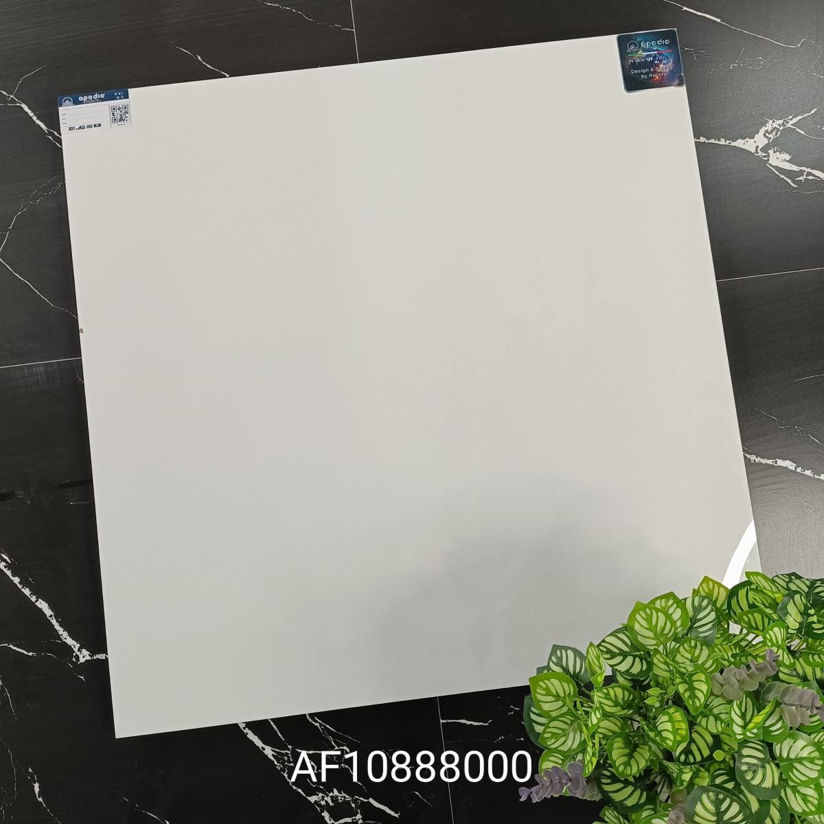 Gạch ốp lát 80x80 Apodio AF10888000 tt