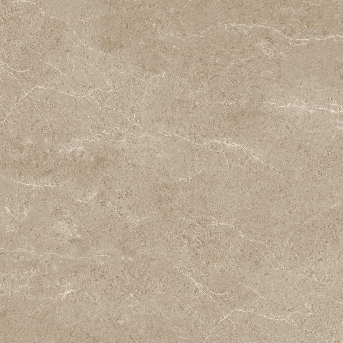 Gạch ốp lát 60x60 Apodio 1566MB509 10