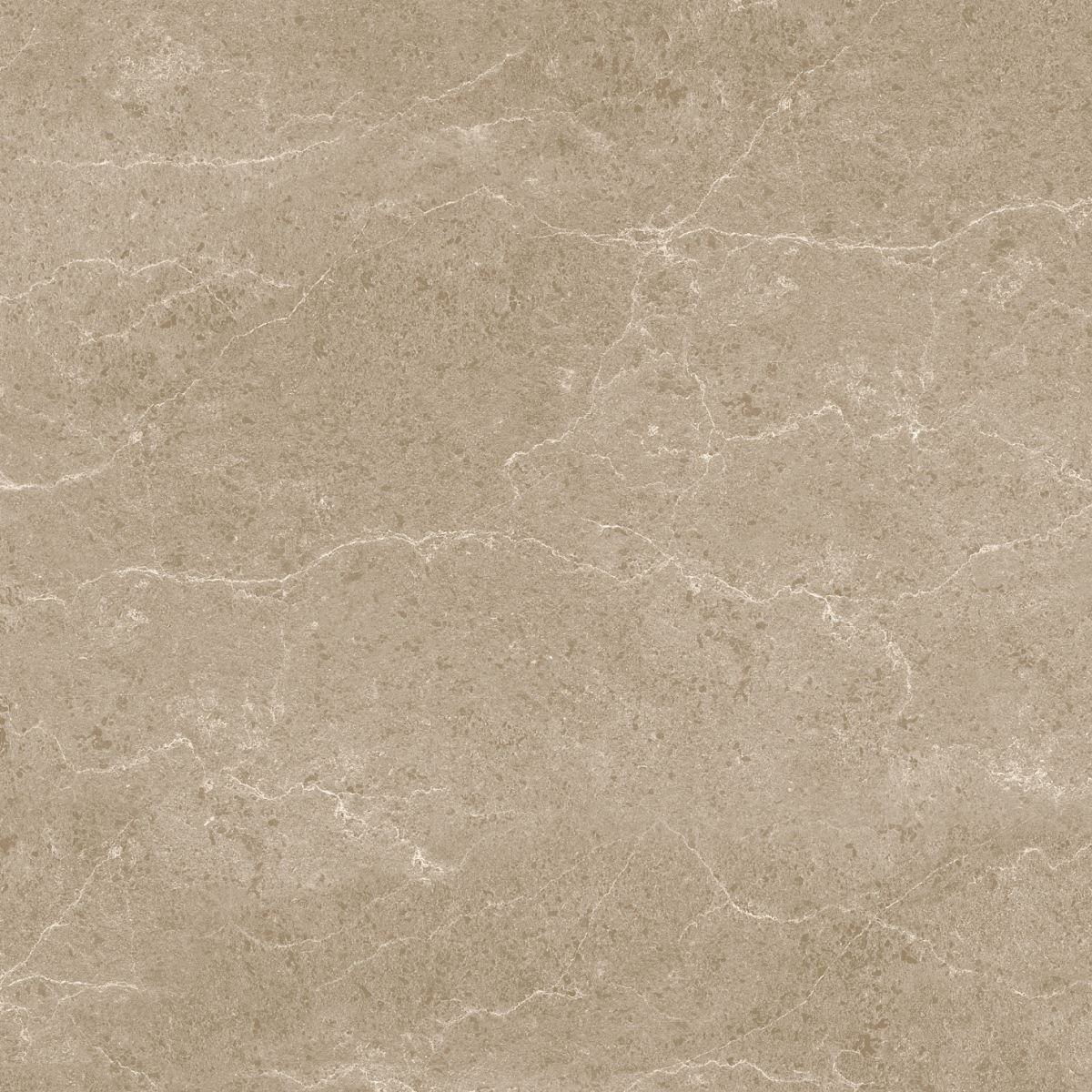 Gạch ốp lát 60x60 Apodio 1566MB509 3
