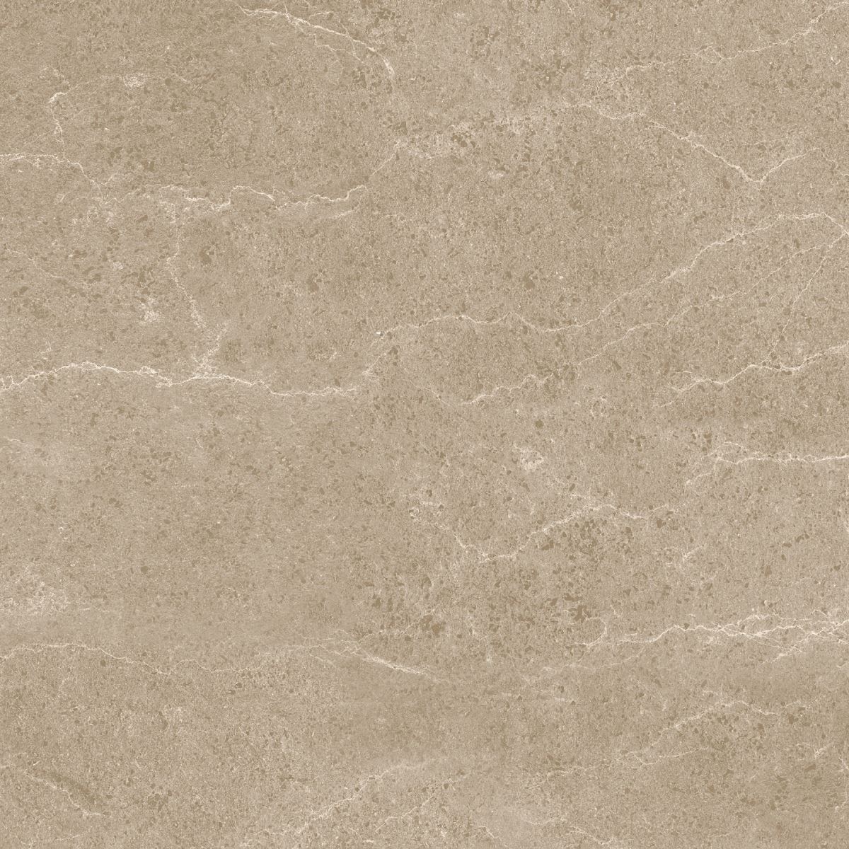 Gạch ốp lát 60x60 Apodio 1566MB509 4