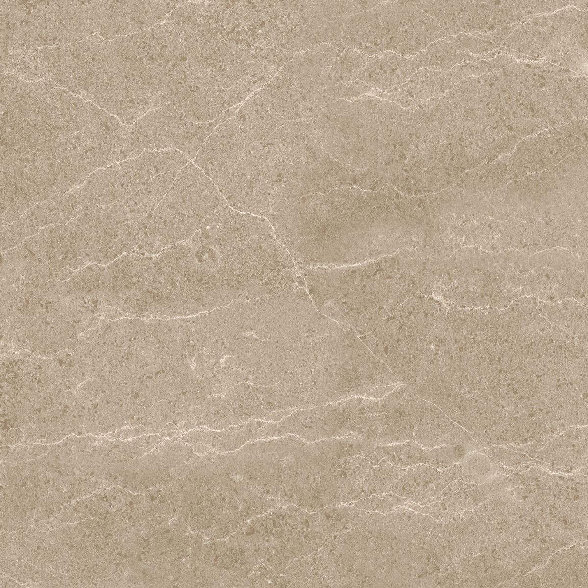 Gạch ốp lát 60x60 Apodio 1566MB509 5