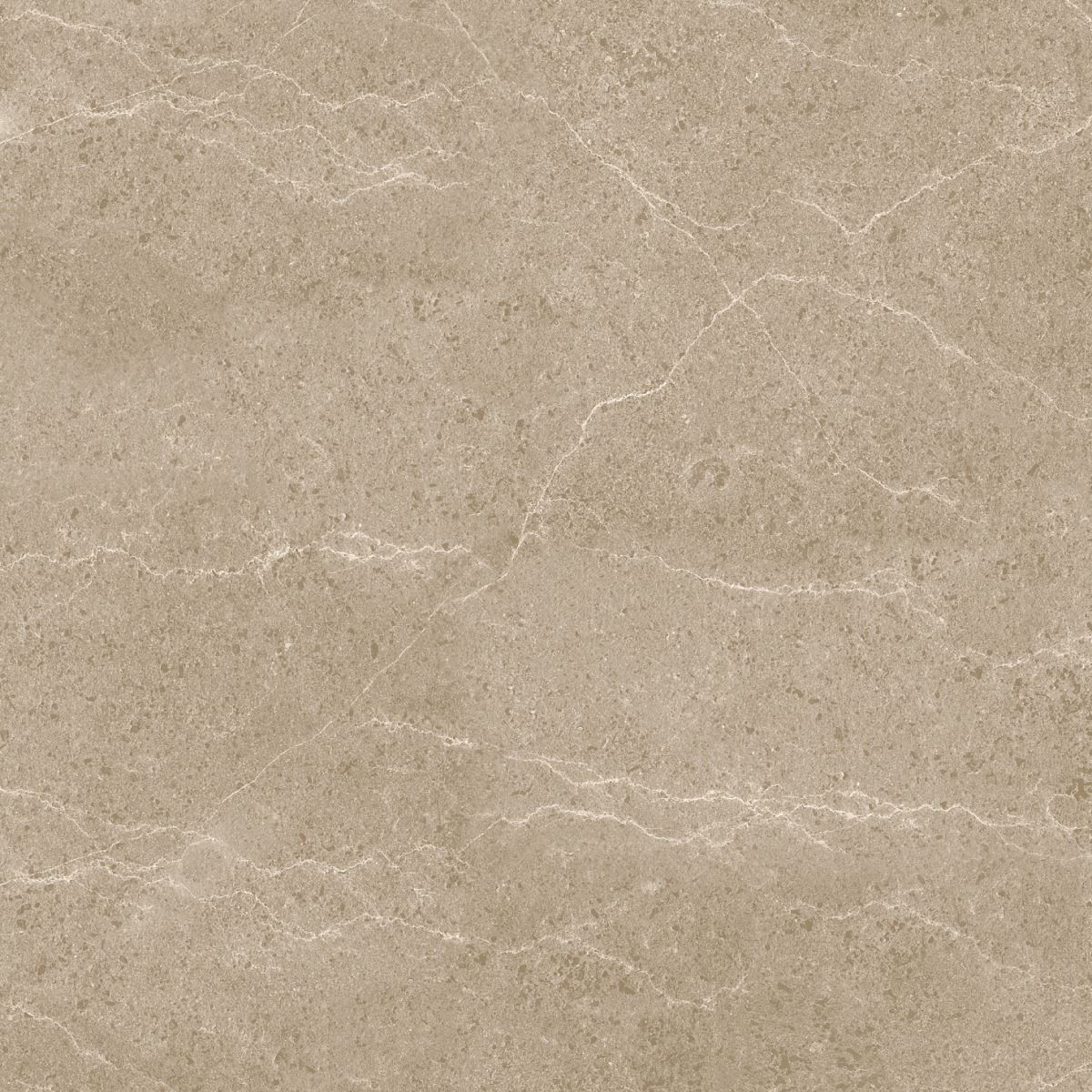 Gạch ốp lát 60x60 Apodio 1566MB509 6