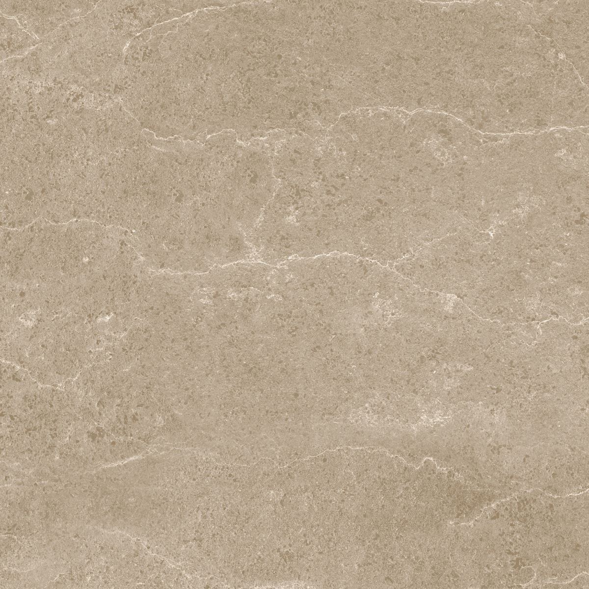 Gạch ốp lát 60x60 Apodio 1566MB509 7