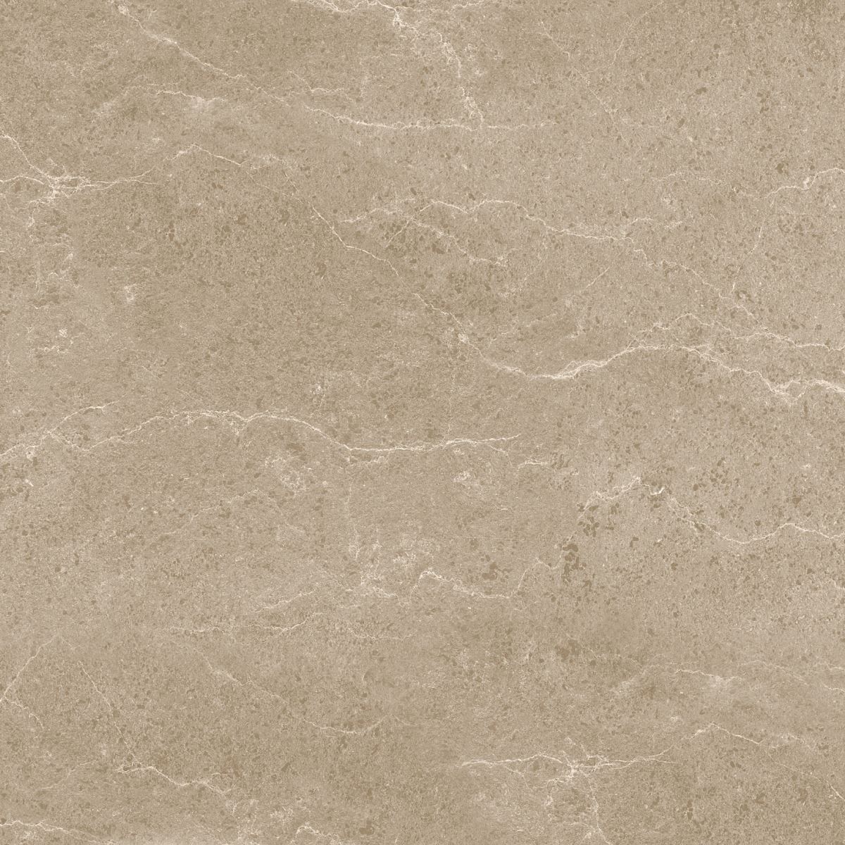 Gạch ốp lát 60x60 Apodio 1566MB509 8