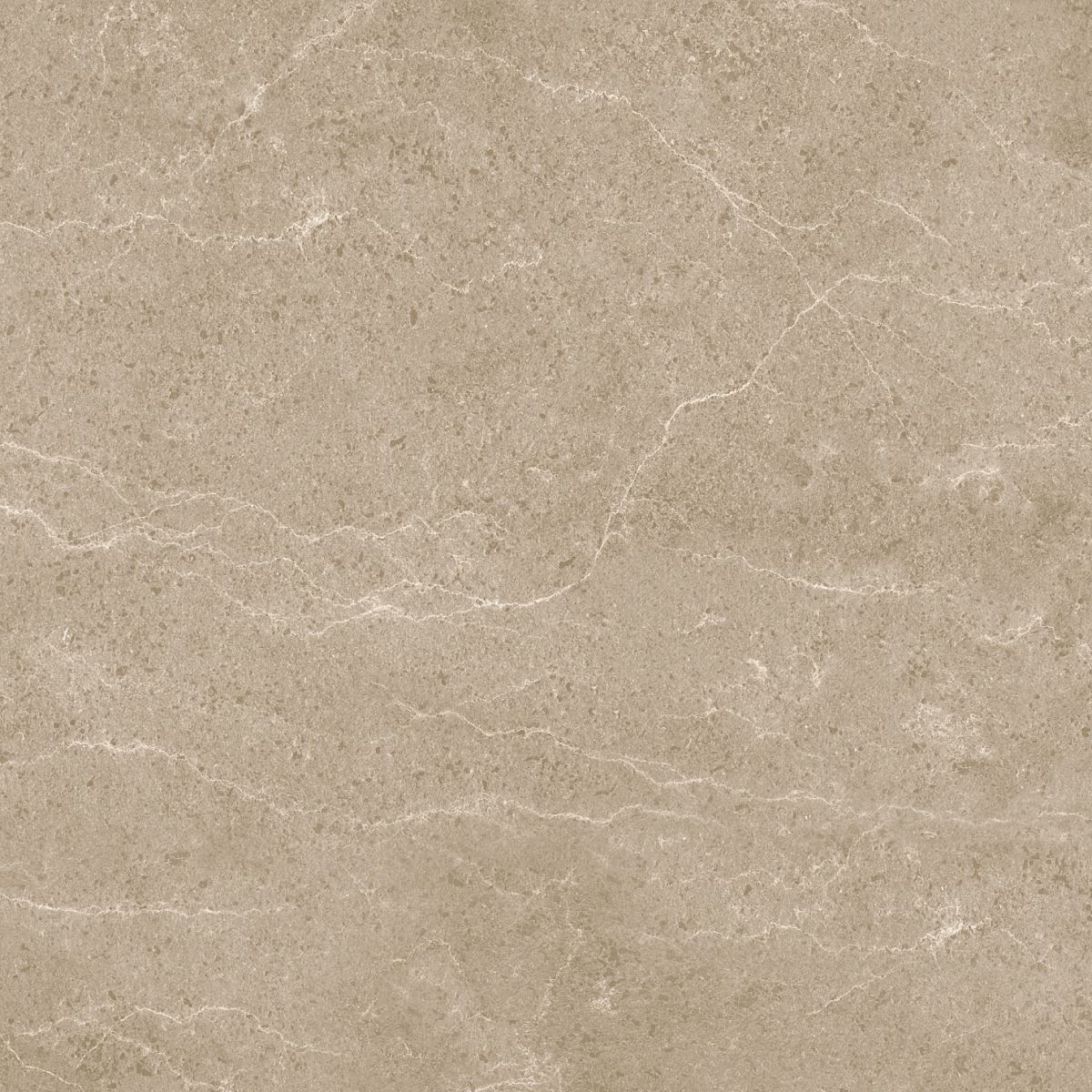 Gạch ốp lát 60x60 Apodio 1566MB509 9