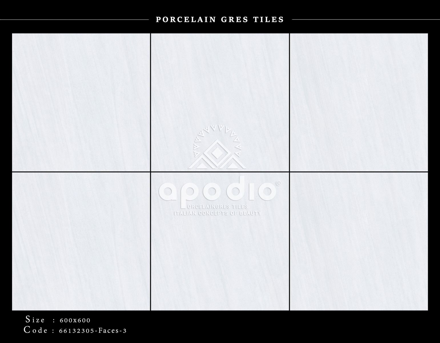 Gạch ốp lát 60x60 Apodio 66132305 3