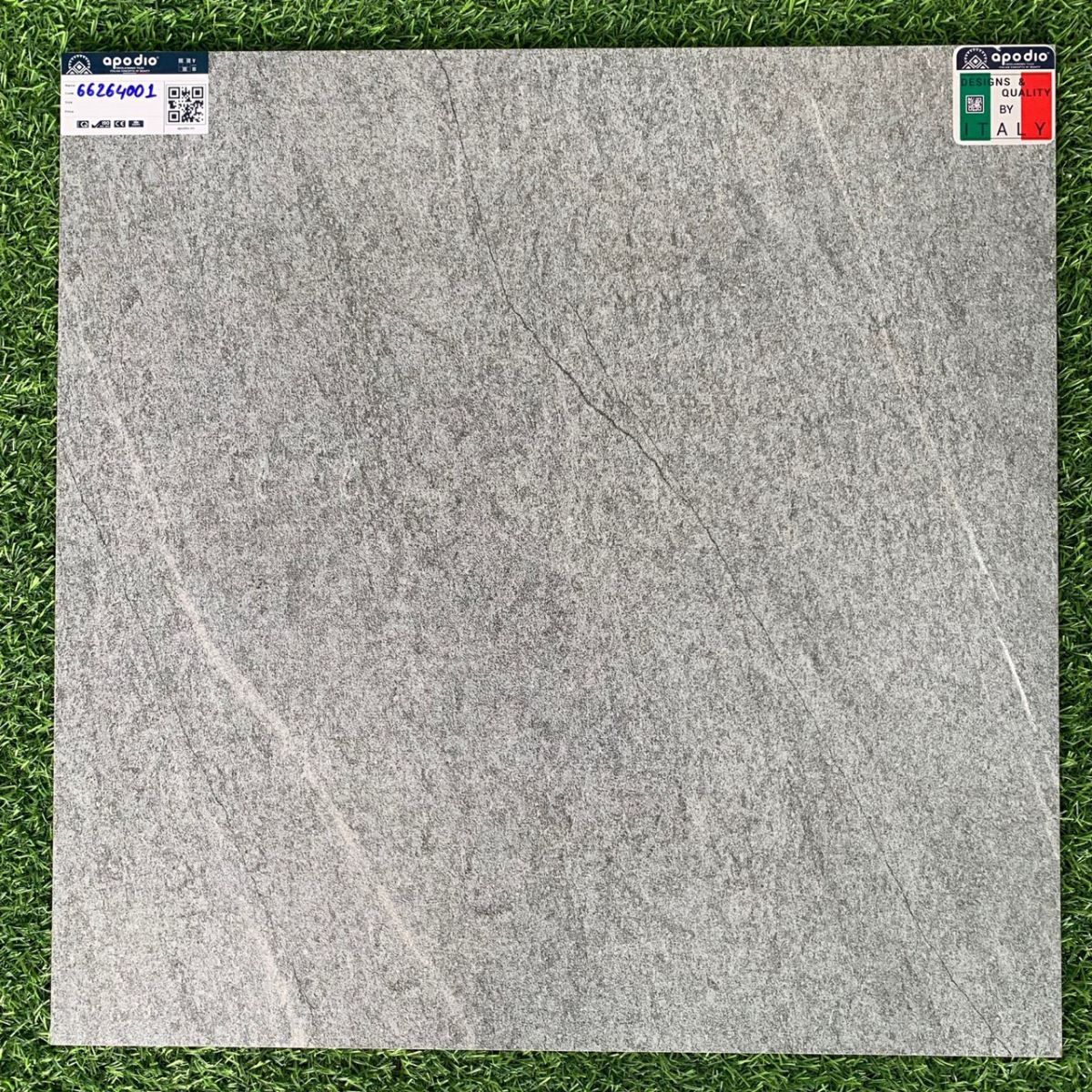Gạch ốp lát 60x60 Apodio 66264001 5