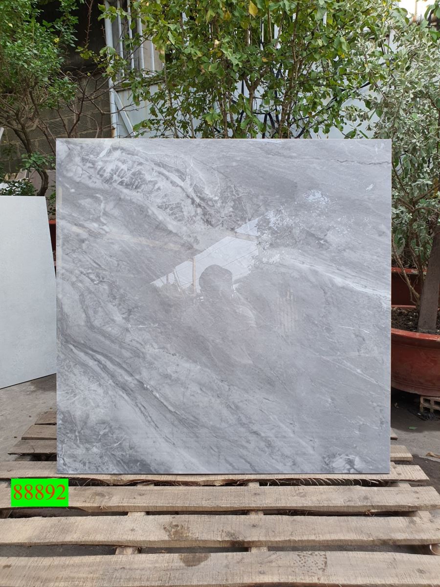 Gạch ốp lát 80x80 Apodio 88892 11