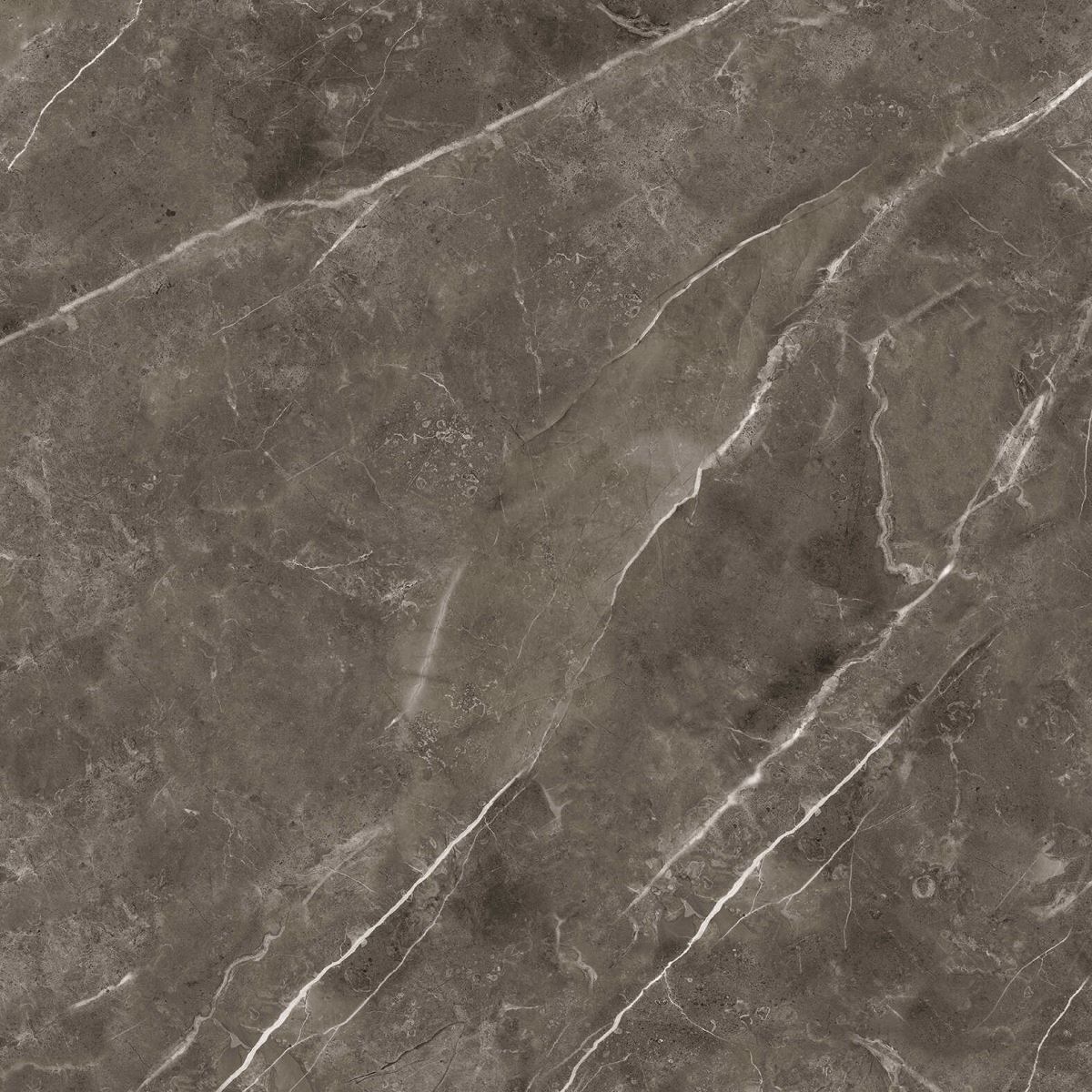 Gạch ốp lát 80x80 Apodio 88895 4