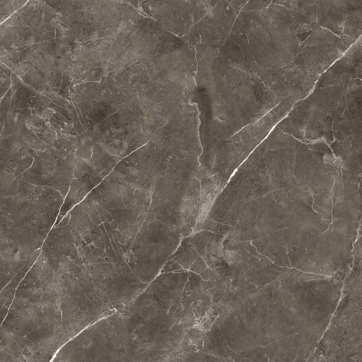 Gạch ốp lát 80x80 Apodio 88895 5