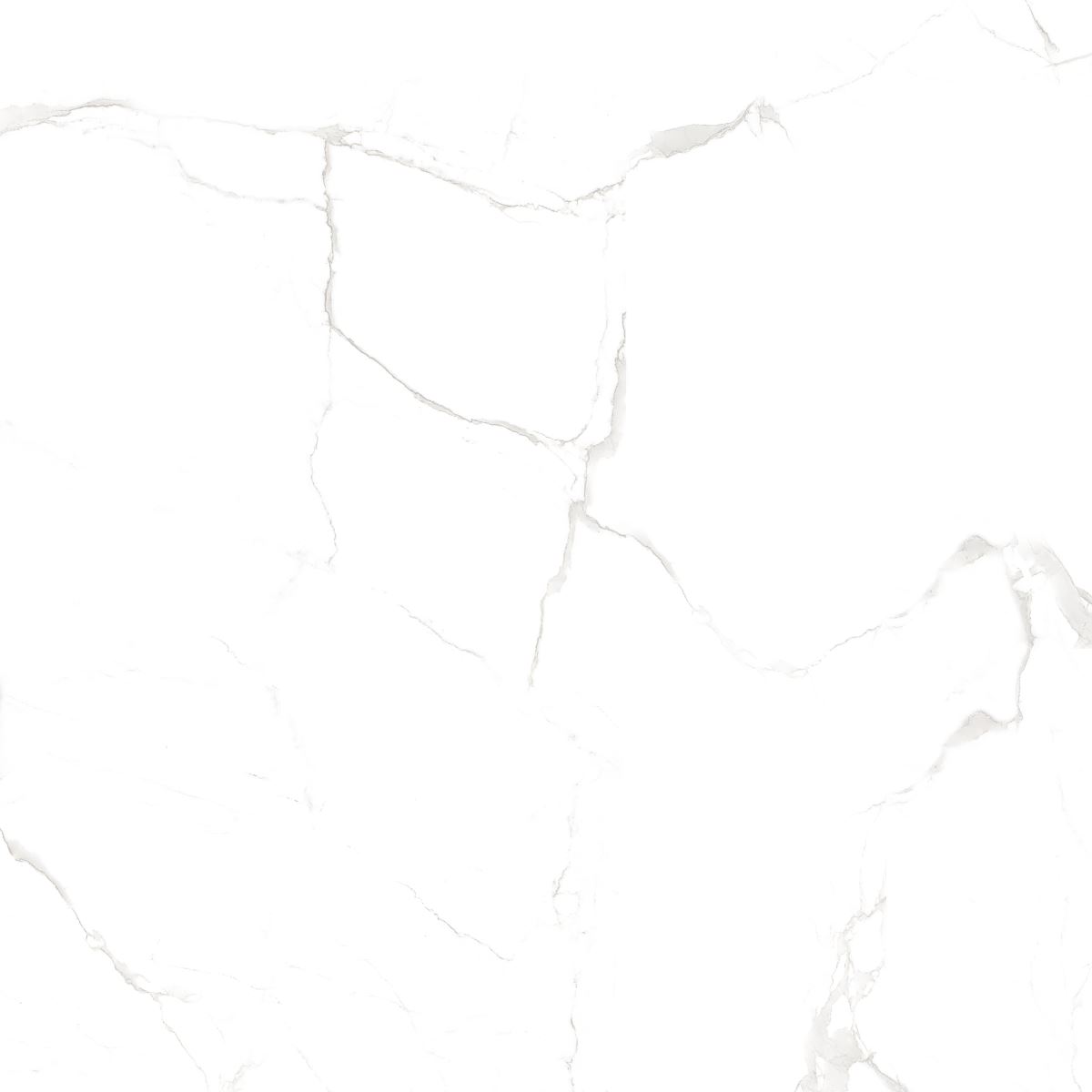 Gạch ốp lát 80x80 Apodio 8890 2