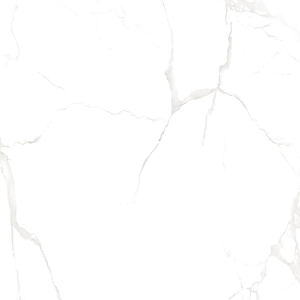 Gạch ốp lát 80x80 Apodio 8890 4