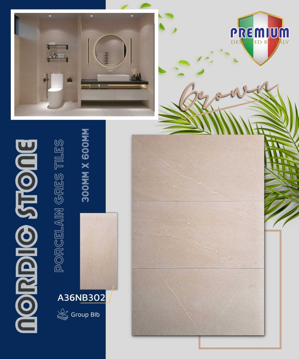 Gạch ốp lát 30x60 Apodio A36NB302 7