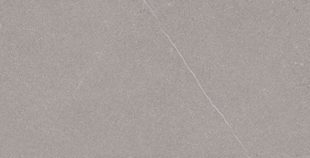 Gạch ốp lát 30x60 Apodio A36NM302 5