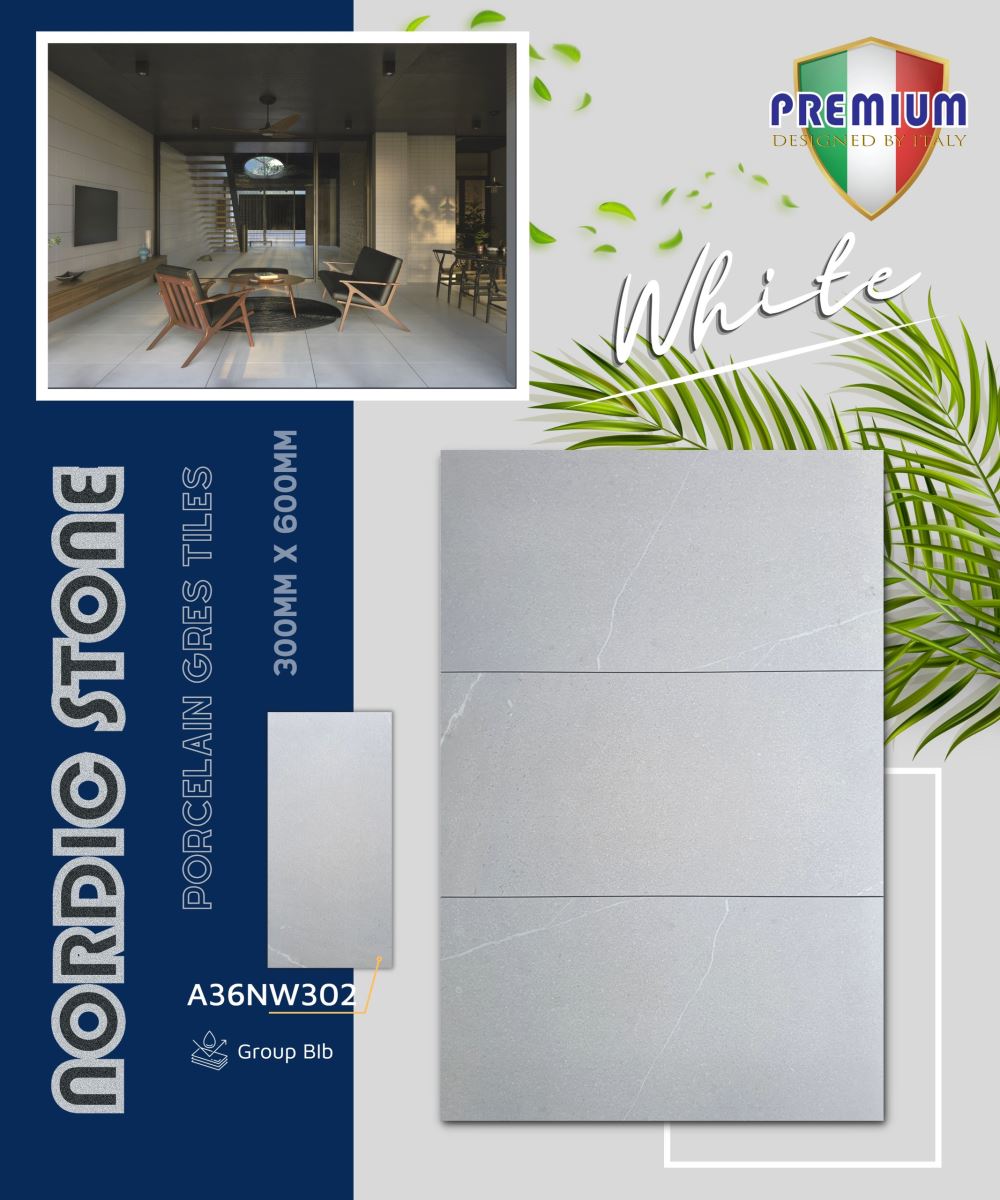 Gạch ốp lát 30x60 Apodio A36NW302 7