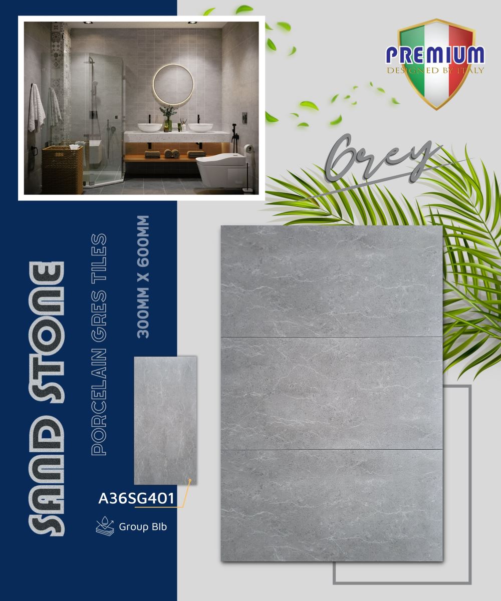 Gạch ốp lát 30x60 Apodio A36SG401 8