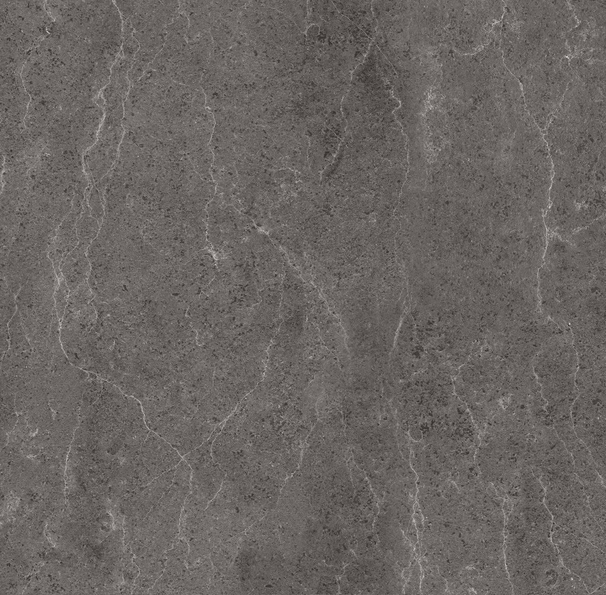 Gạch ốp lát 60x60 Apodio A66SA601 3