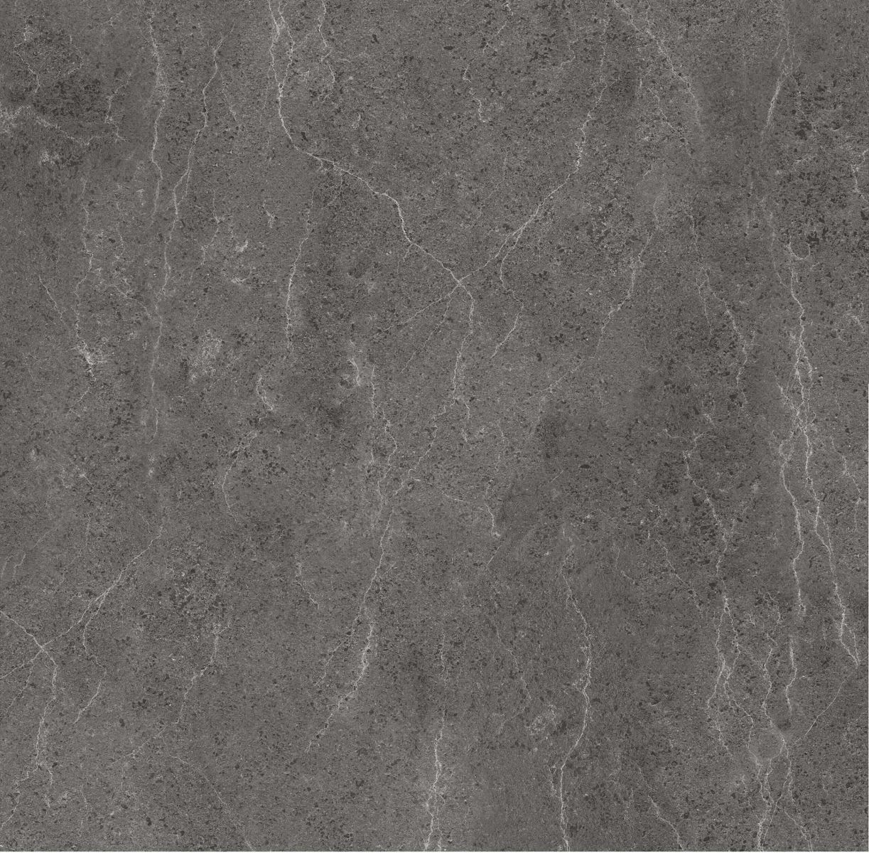 Gạch ốp lát 60x60 Apodio A66SA601 4
