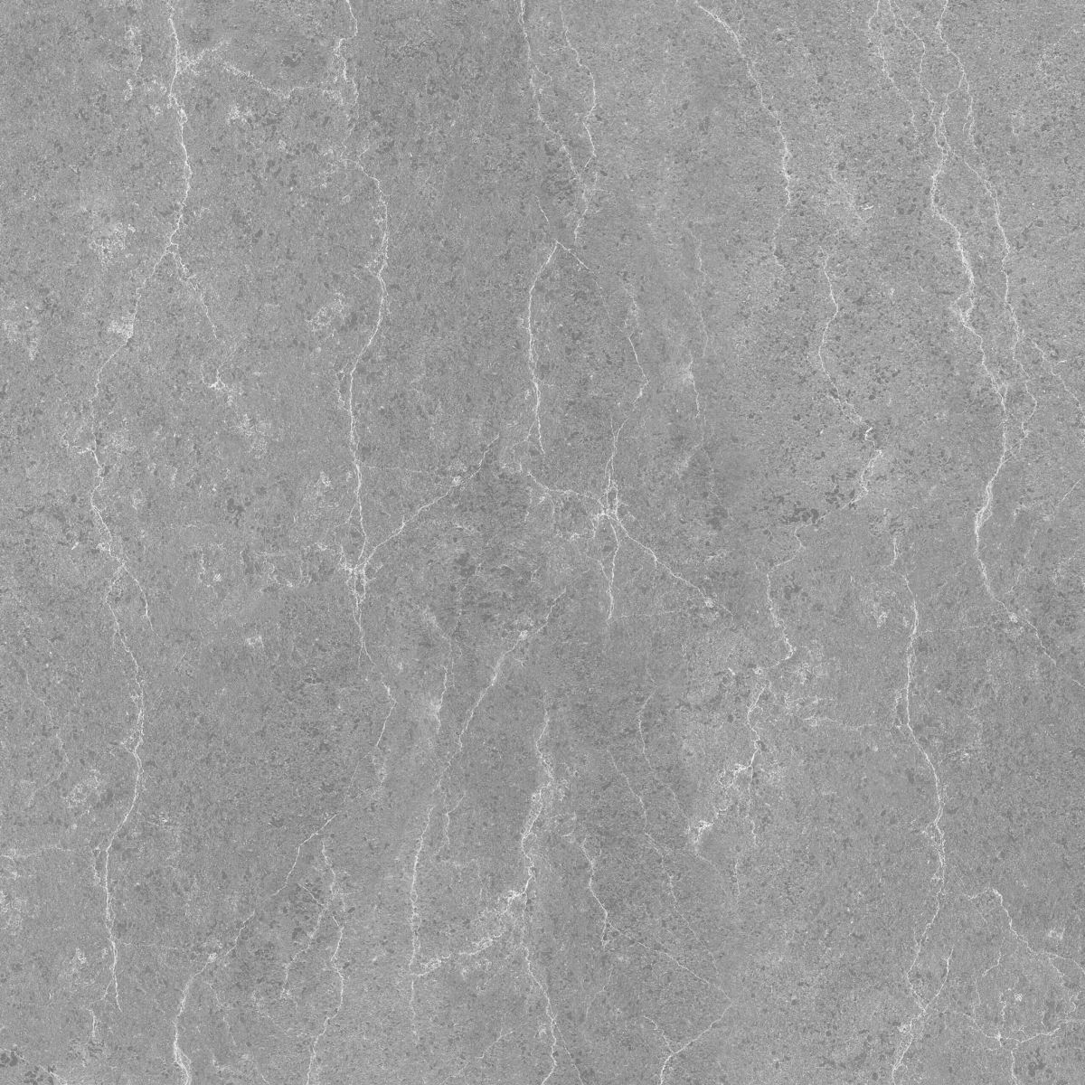 Gạch ốp lát 60x60 Apodio A66SG601 2