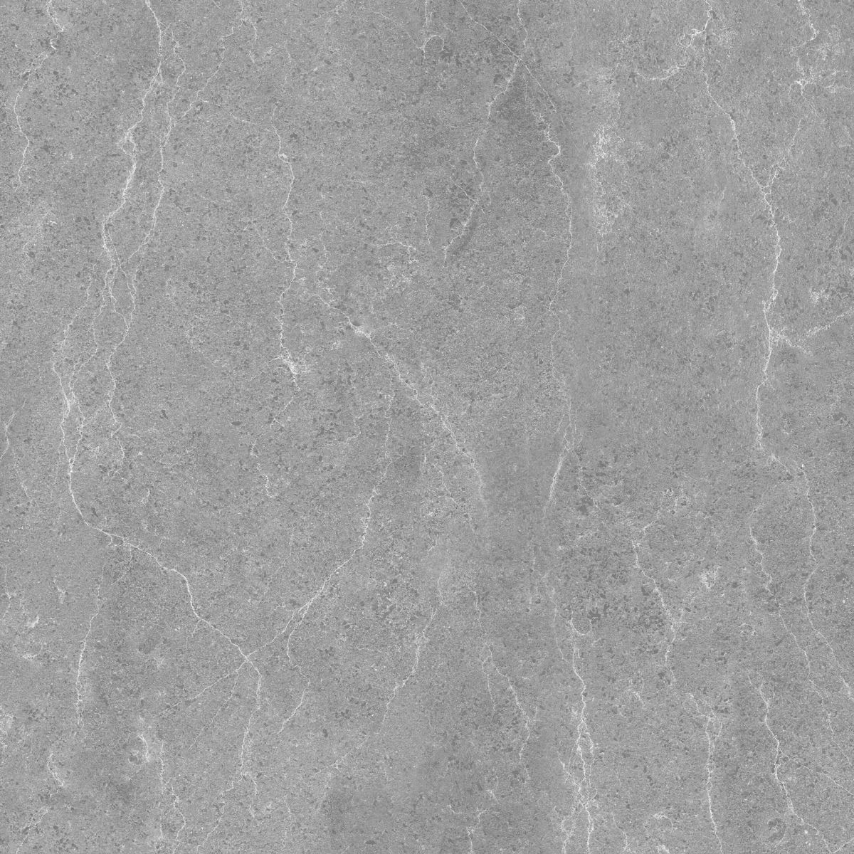 Gạch ốp lát 60x60 Apodio A66SG601 3