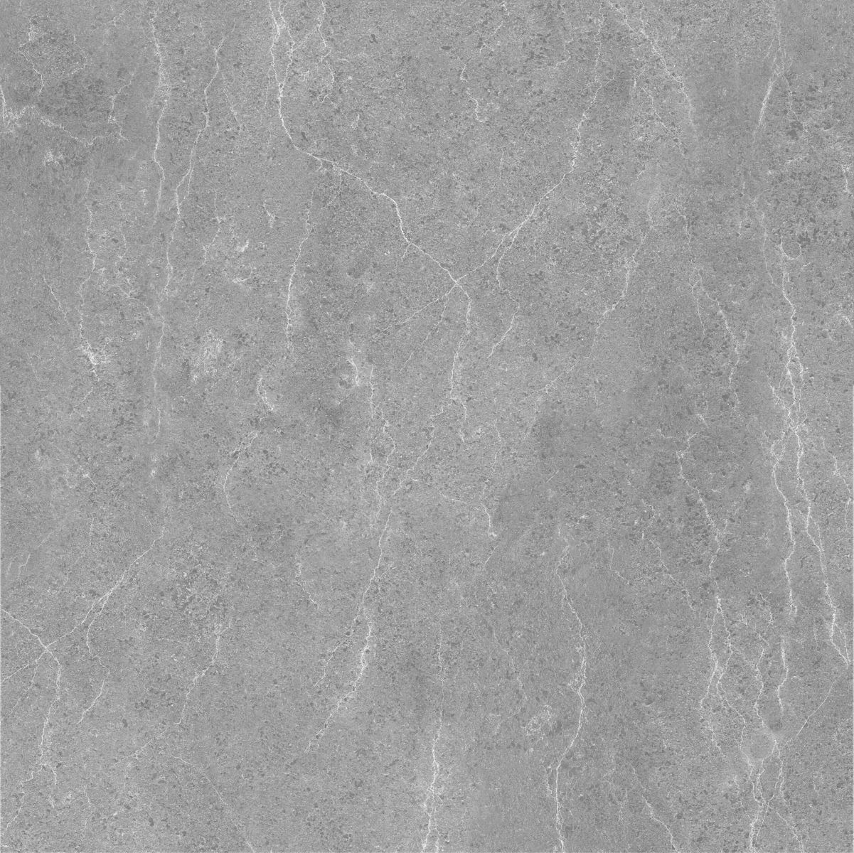 Gạch ốp lát 60x60 Apodio A66SG601 4