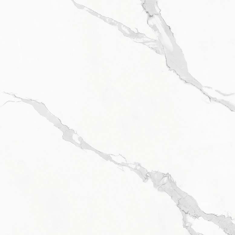 Gạch ốp lát 60x60 Apodio M66CG810 2