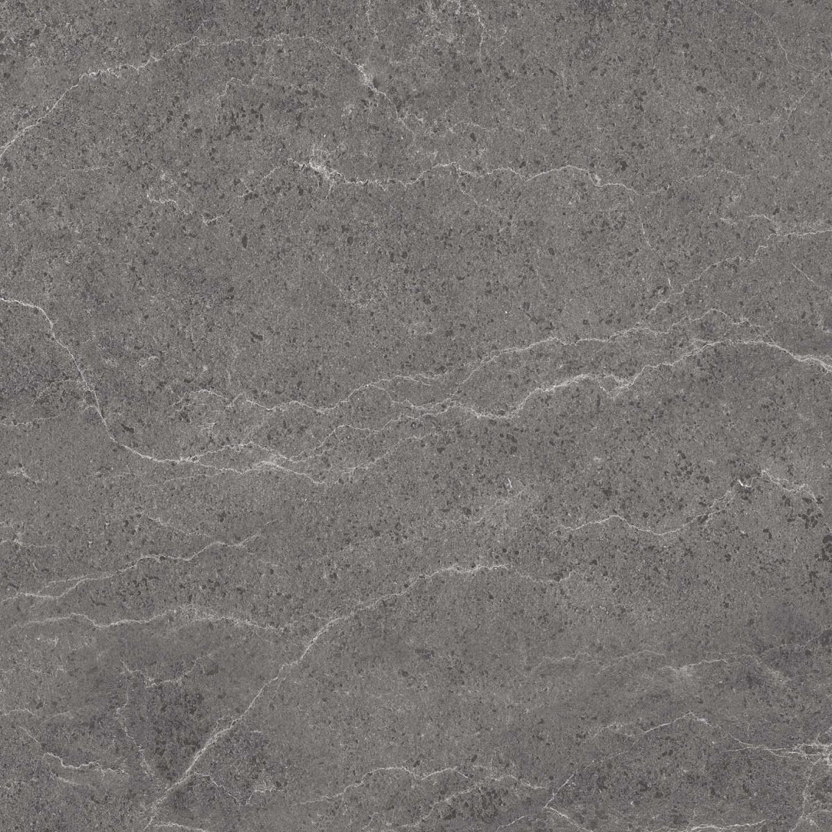 Gạch ốp lát 60x60 Apodio P1566MG505 2