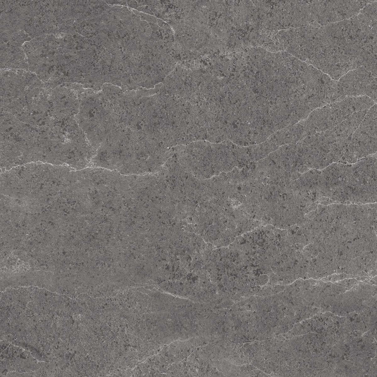 Gạch ốp lát 60x60 Apodio P1566MG505 4