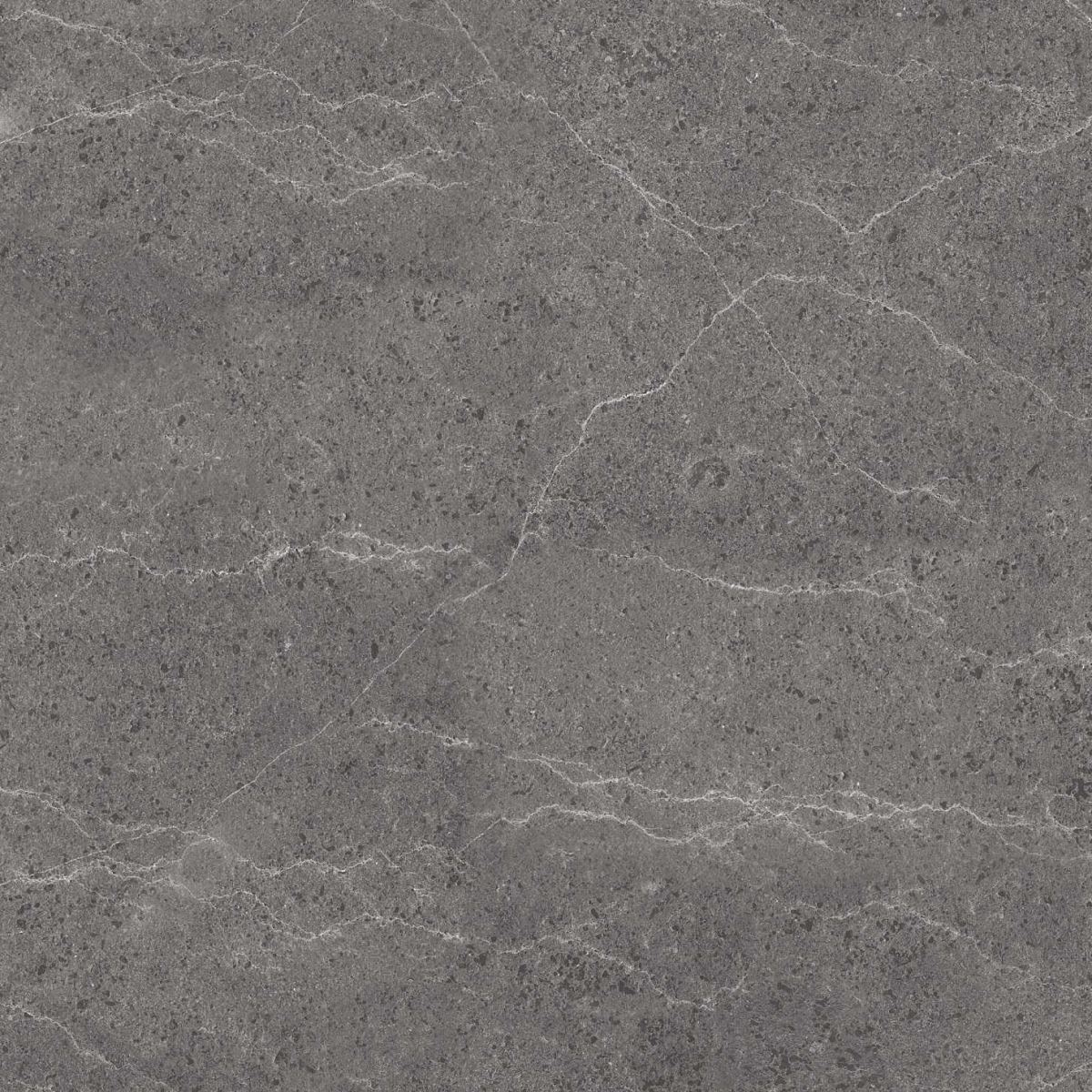 Gạch ốp lát 60x60 Apodio P1566MG505 5