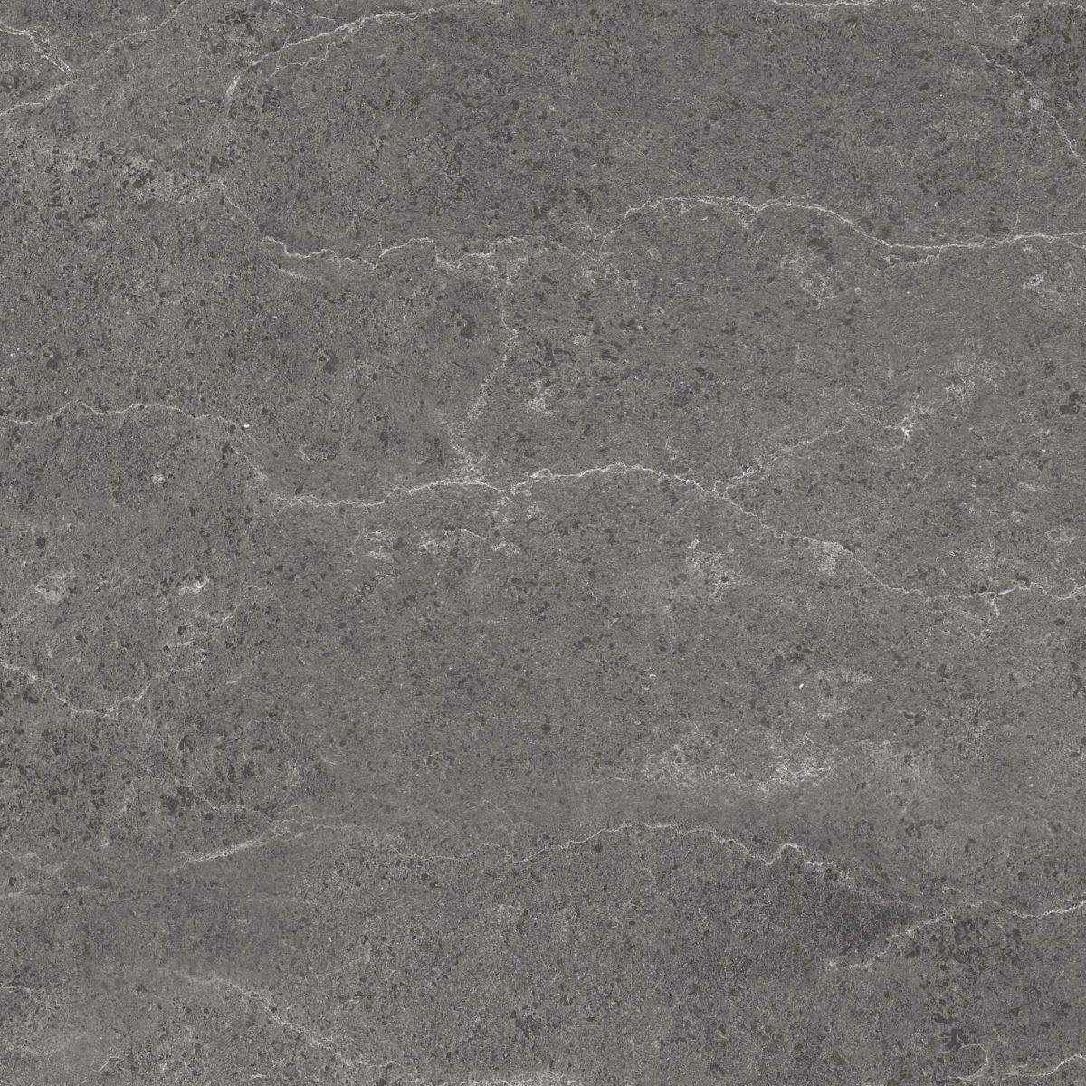 Gạch ốp lát 60x60 Apodio P1566MG505 6