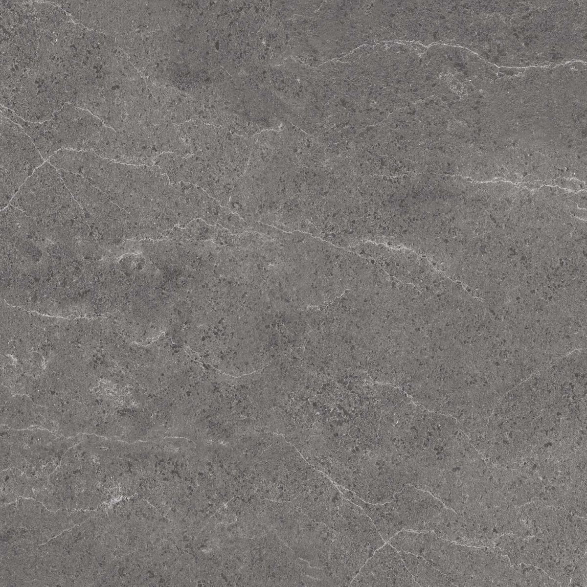 Gạch ốp lát 60x60 Apodio P1566MG505 9