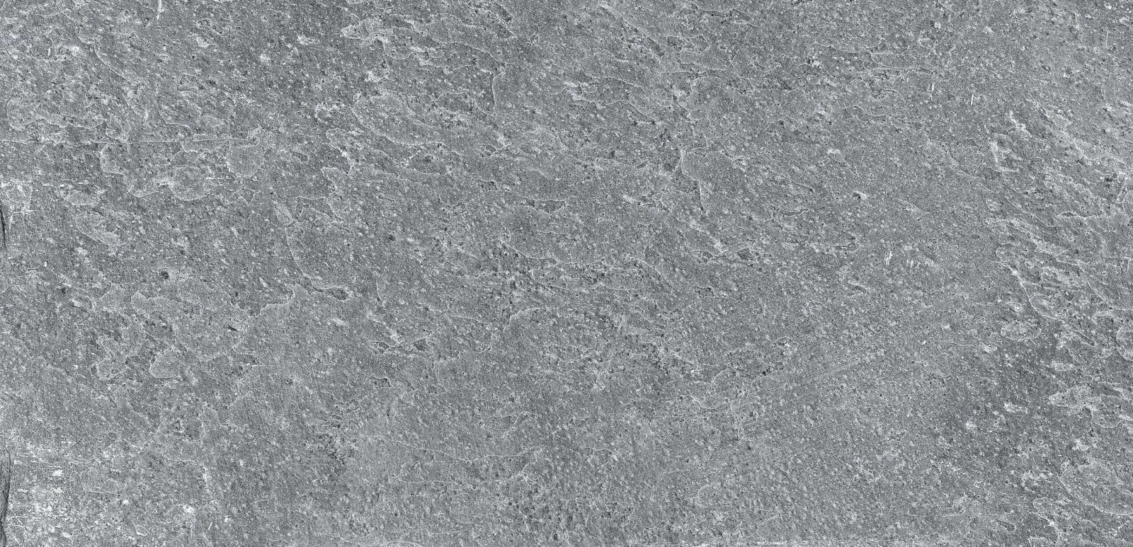 Gạch ốp lát 30x60 Apodio PA12367007 7