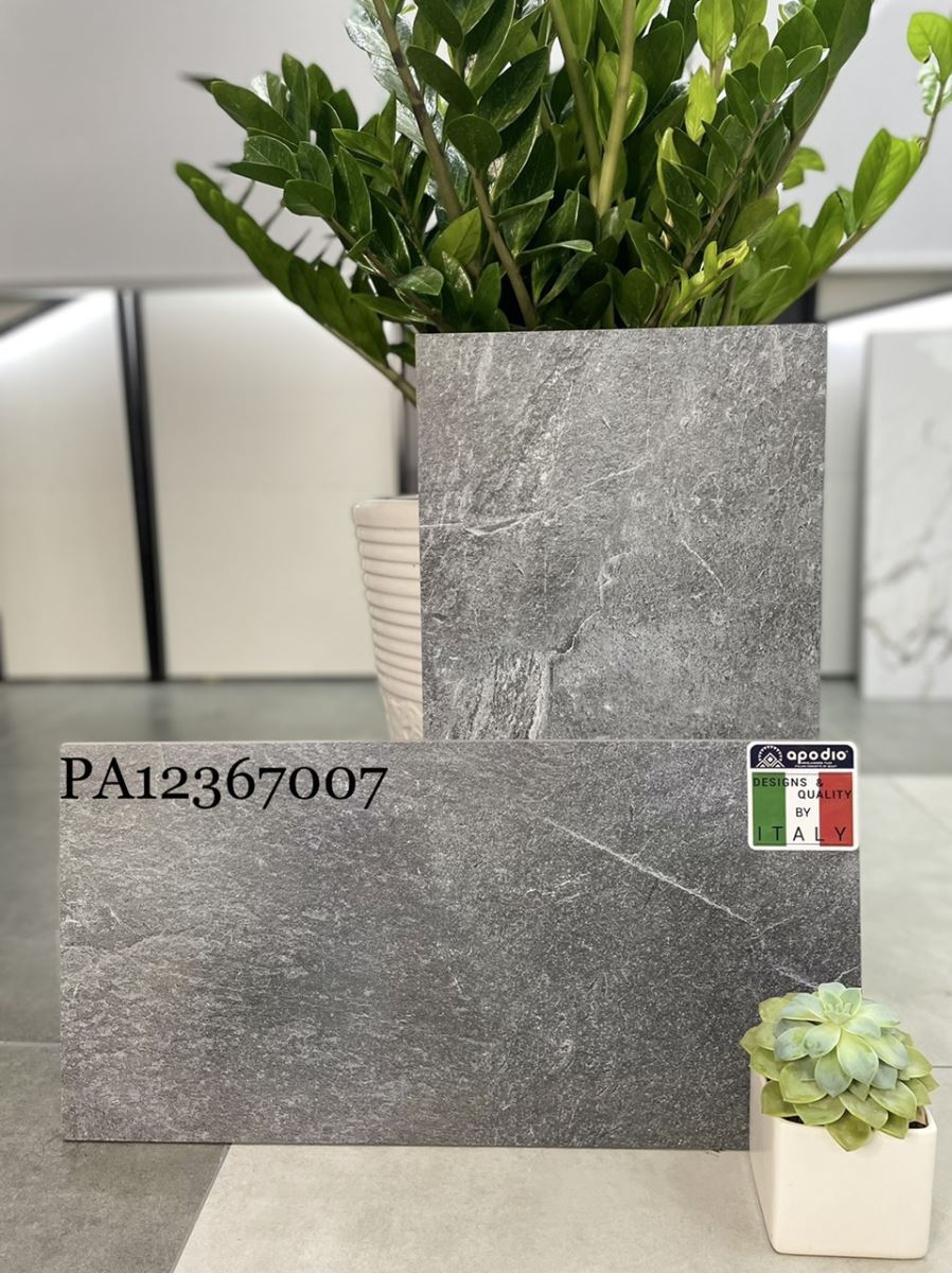 Gạch ốp lát 30x60 Apodio PA12367007 9