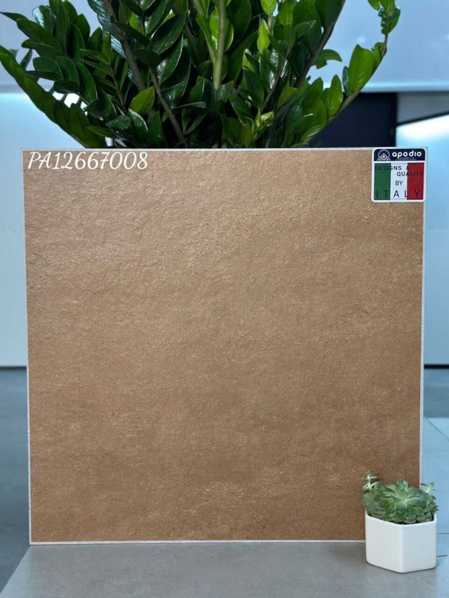 Gạch ốp lát 60x60 Apodio PA12667008 2