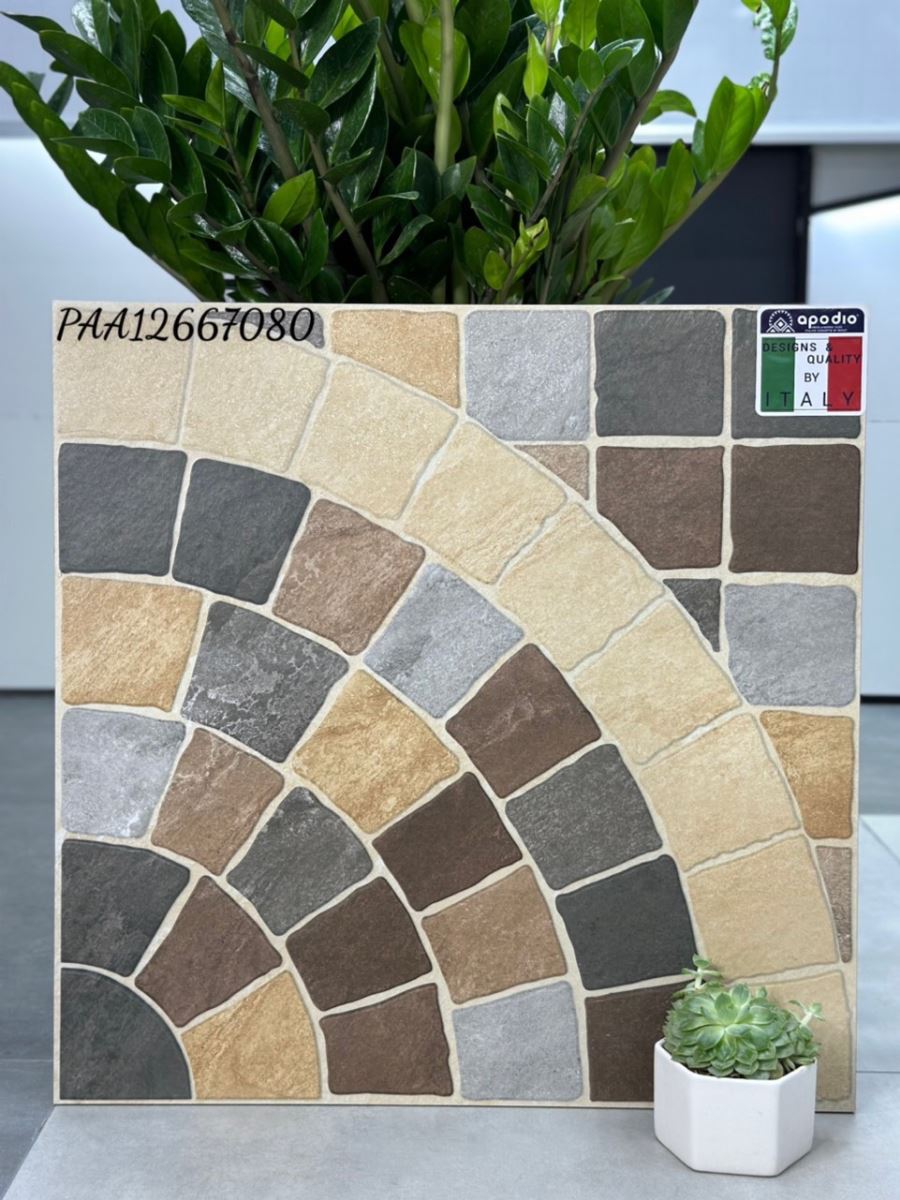 Gạch ốp lát 60x60 Apodio PAA12667080 2