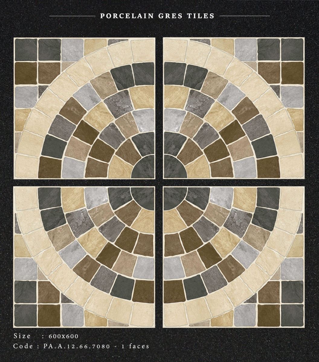 Gạch ốp lát 60x60 Apodio PAA12667080 3