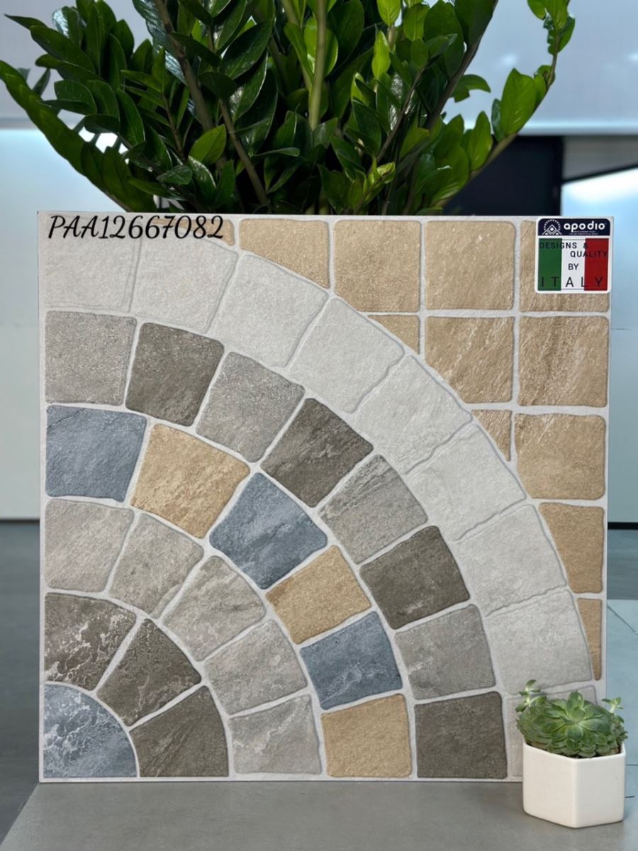 Gạch ốp lát 60x60 Apodio PAA12667082 2
