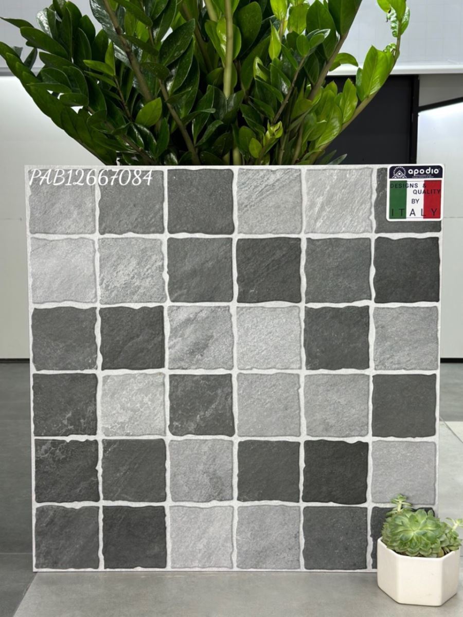 Gạch ốp lát 60x60 Apodio PAB12667084 2