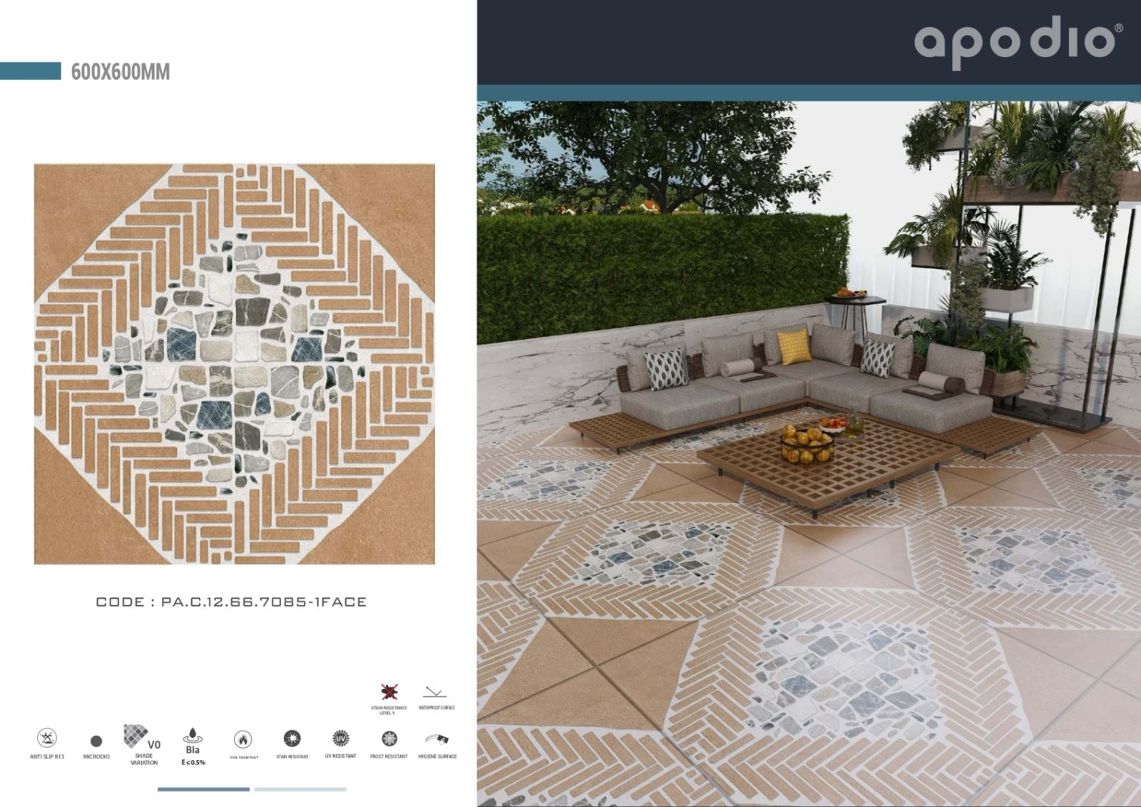 Gạch ốp lát 60x60 Apodio PAC12667085 5