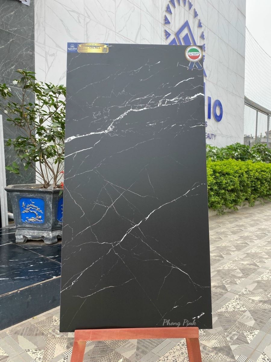 Gạch ốp lát 60x120 Apodio 61169902